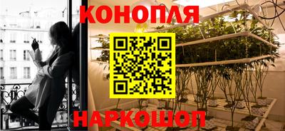 бошки Донской