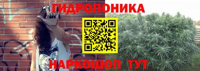 бошки Донской