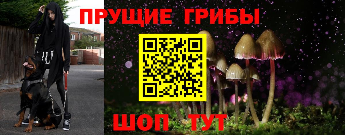 Галлюциногенные грибы GOLDEN TEACHER  Вход с VPN  Нижнеудинск 