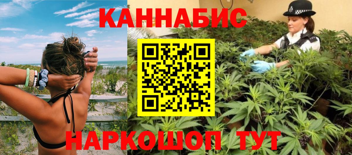 МАРИХУАНА сатива Нижнеудинск